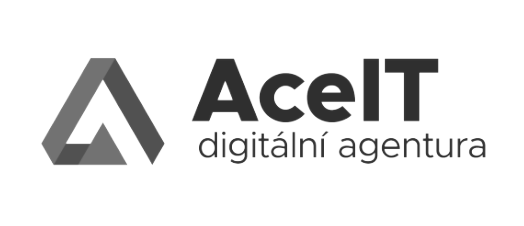 logo AceIT
